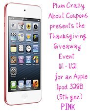 Bloggers Wanted – Apple Ipod (5th Gen) Pink Giveaway Event