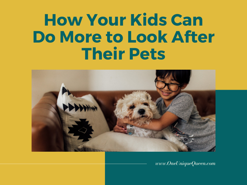 How Your Kids Can Do More to Look After Their Pets
