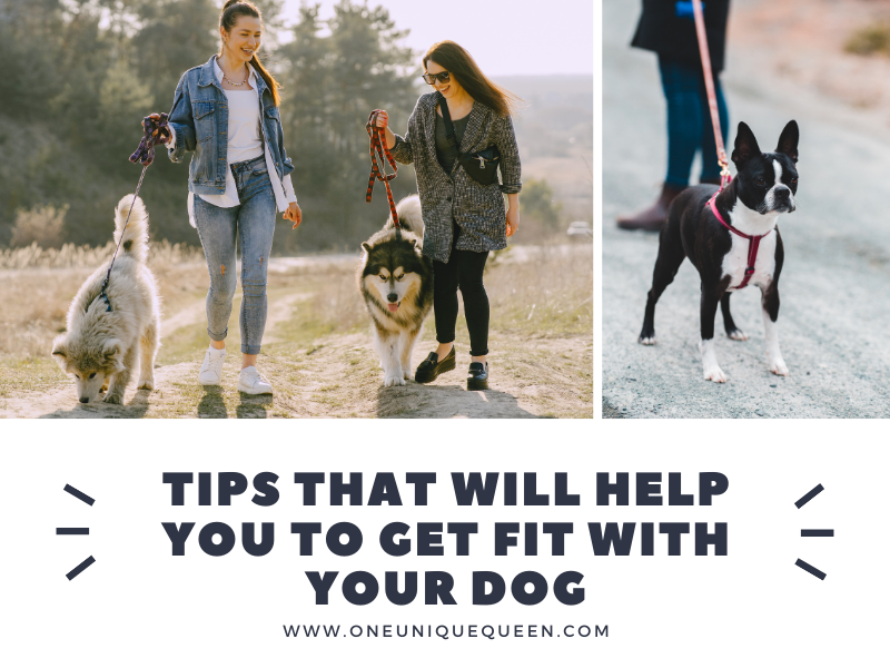 Tips that will Help you to Get fit with Your Dog